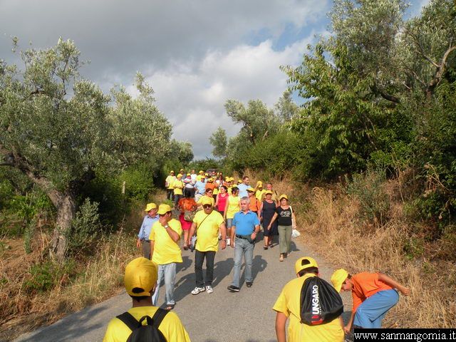Foto 019